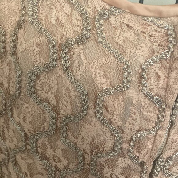 Vintage Pink Lace Plus Size Dress - Picture 4 of 7